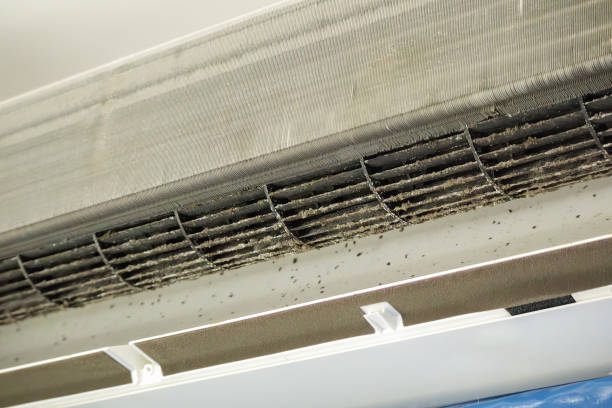 Best Emergency Air Duct Cleaning  in Dawson Springs, KY